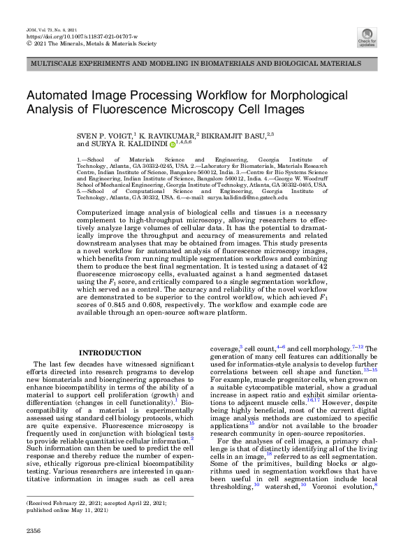 (PDF) Automated Image Processing Workflow for Morphological Analysis of ...