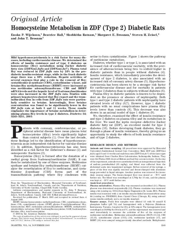 (PDF) Homocysteine Metabolism in ZDF (Type 2) Diabetic Rats