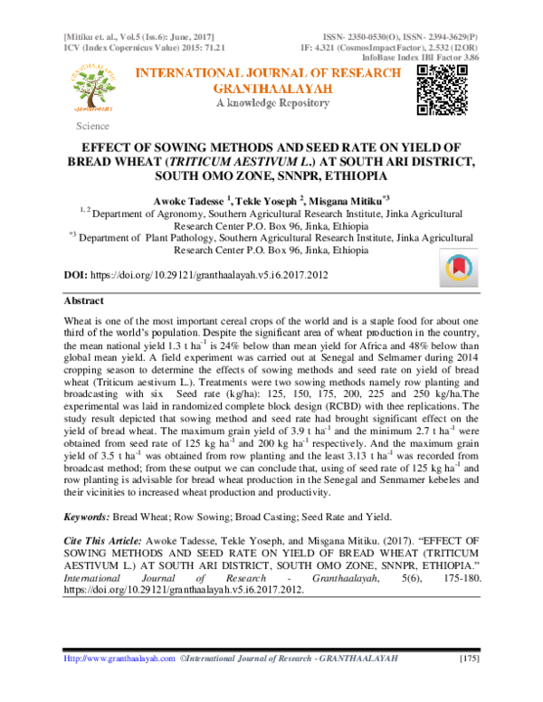 (PDF) Effect of Sowing Methods and Seed Rate on Yield of Bread Wheat ...