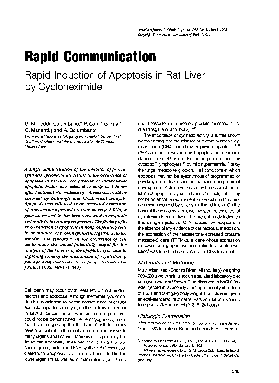 (PDF) Rapid induction of apoptosis in rat liver by cycloheximide