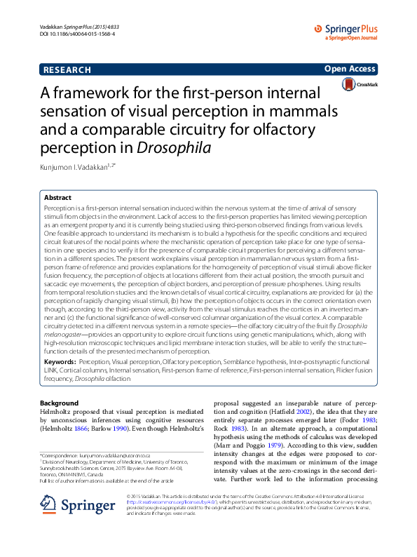 (PDF) A framework for the first-person internal sensation of visual ...