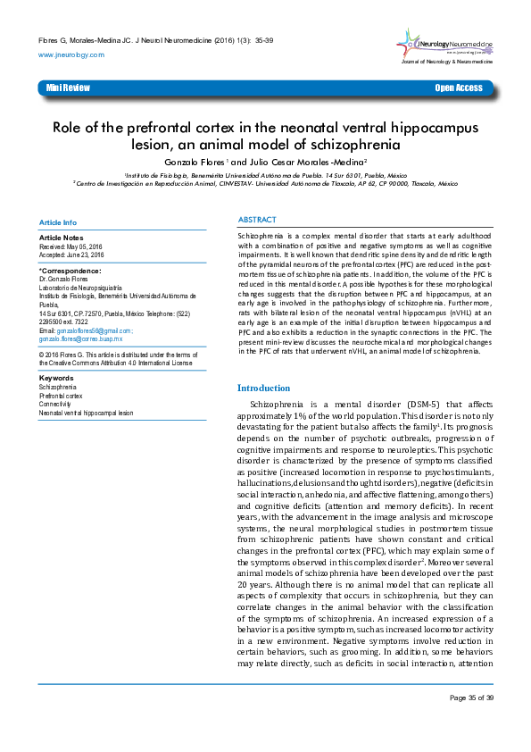 (PDF) Role of the prefrontal cortex in the neonatal ventral hippocampus ...
