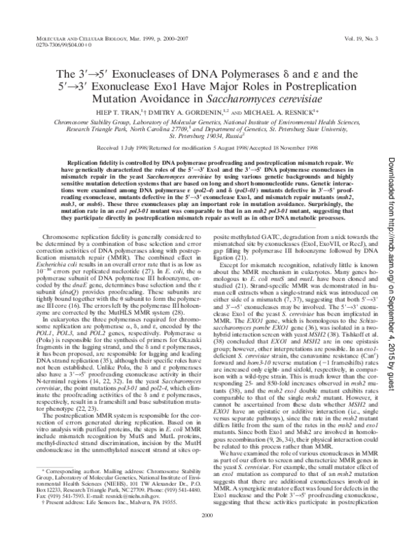 (PDF) The 39359 Exonucleases of DNA Polymerases d and ε and the 59339 ...