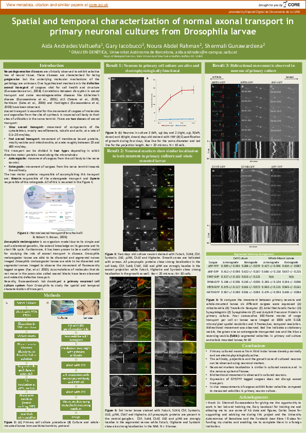 (PDF) Spatial and temporal characterization of normal axonal transport ...