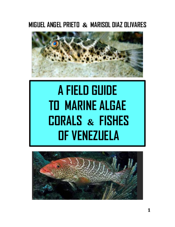 (PDF) MIGUEL ANGEL PRIETO & MARISOL DIAZ OLIVARES A FIELD GUIDE TO ...