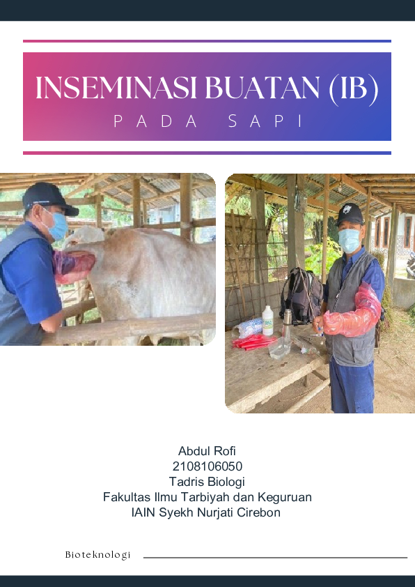(PDF) Inseminasi Buatan (IB) pada Sapi