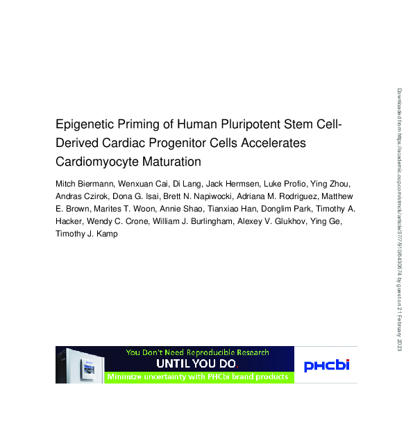 (PDF) Epigenetic Priming of Human Pluripotent Stem Cell-Derived Cardiac ...