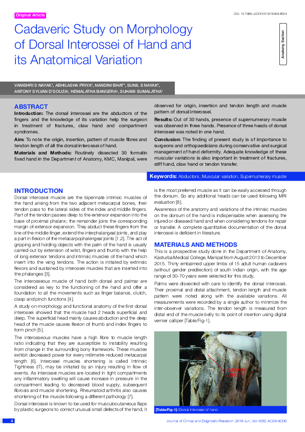 (PDF) Cadaveric Study on Morphology of Dorsal Interossei of Hand and ...