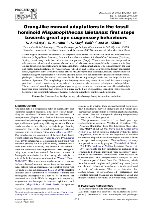 (PDF) Orang-like manual adaptations in the fossil hominoid ...