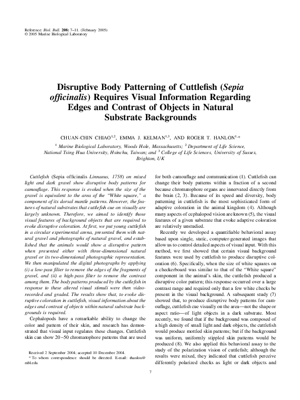 (PDF) Disruptive Body Patterning of Cuttlefish (Sepia officinalis ...