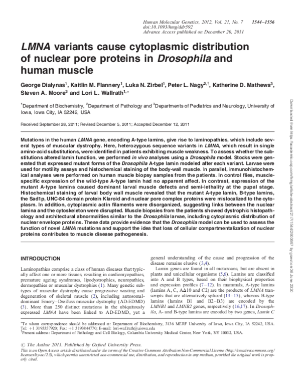 (PDF) LMNA variants cause cytoplasmic distribution of nuclear pore ...
