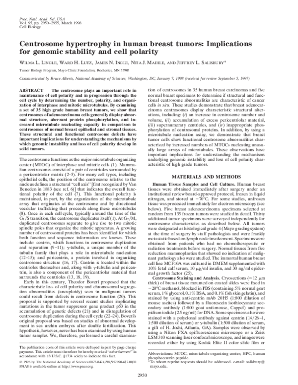 (PDF) Centrosome hypertrophy in human breast tumors: Implications for ...