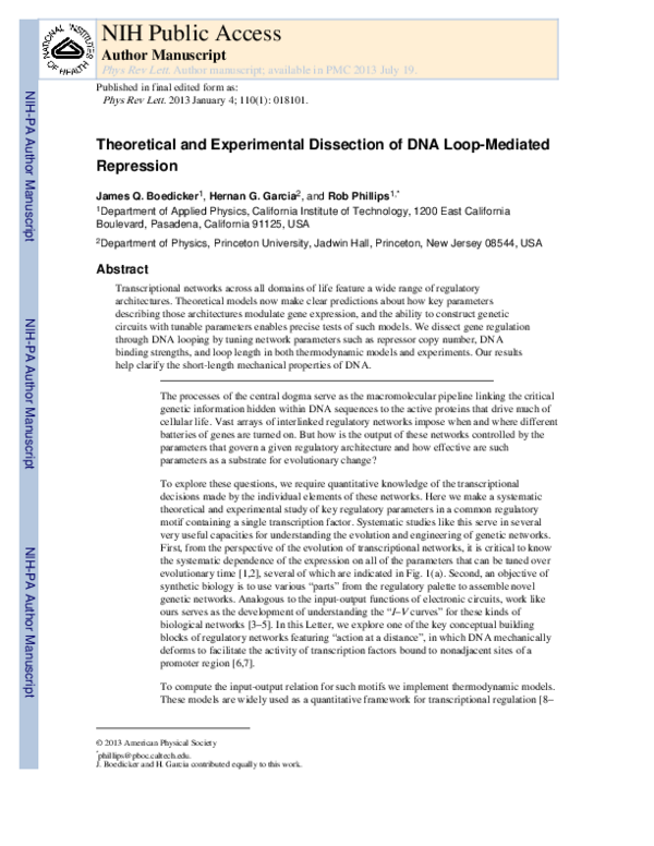 (PDF) Theoretical and Experimental Dissection of DNA Loop-Mediated ...