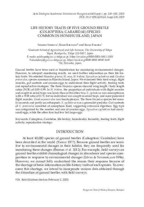 (PDF) Life history traits of five ground beetle (Coleoptera: Carabidae ...