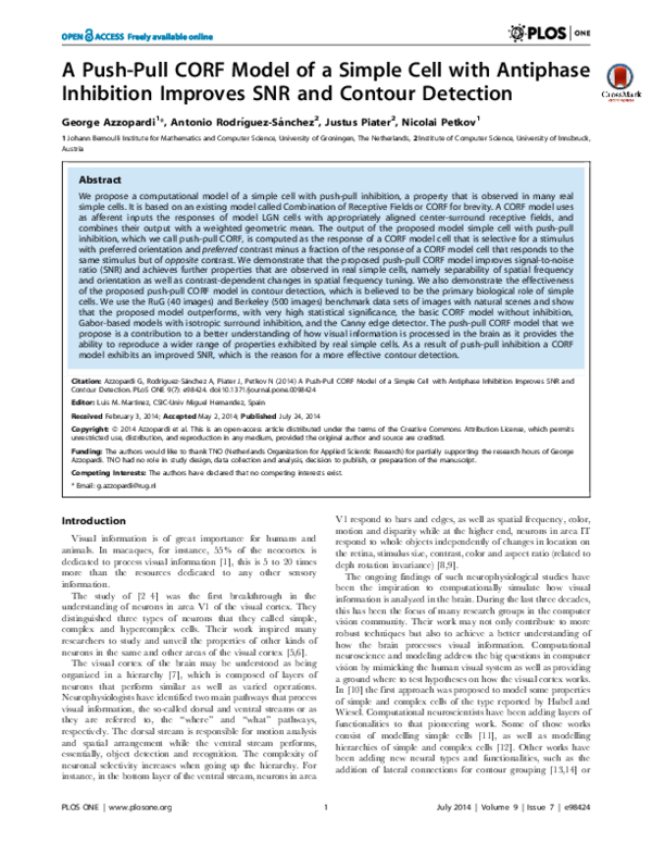 (PDF) A Push-Pull CORF Model of a Simple Cell with Antiphase Inhibition ...
