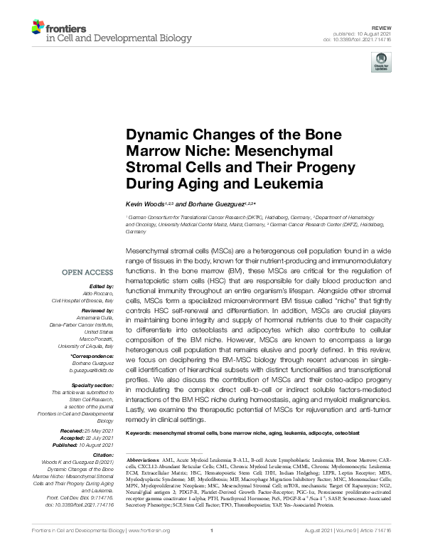 (PDF) Dynamic Changes of the Bone Marrow Niche: Mesenchymal Stromal ...