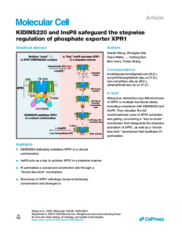(PDF) KIDINS220 and InsP8 safeguard the stepwise regulation of ...