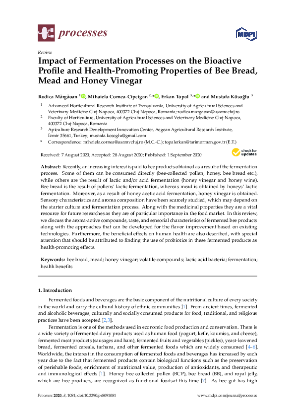 (PDF) Impact of Fermentation Processes on the Bioactive Profile and ...