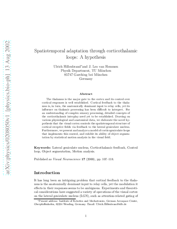 (PDF) Spatiotemporal adaptation through corticothalamic loops: A hypothesis