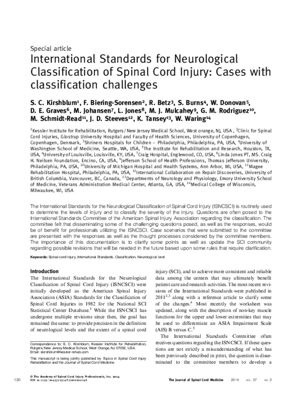 (PDF) International Standards for Neurological Classification of Spinal ...