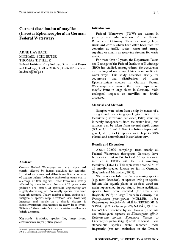 (PDF) Current distribution of mayflies (Insecta: Ephemeroptera) in ...