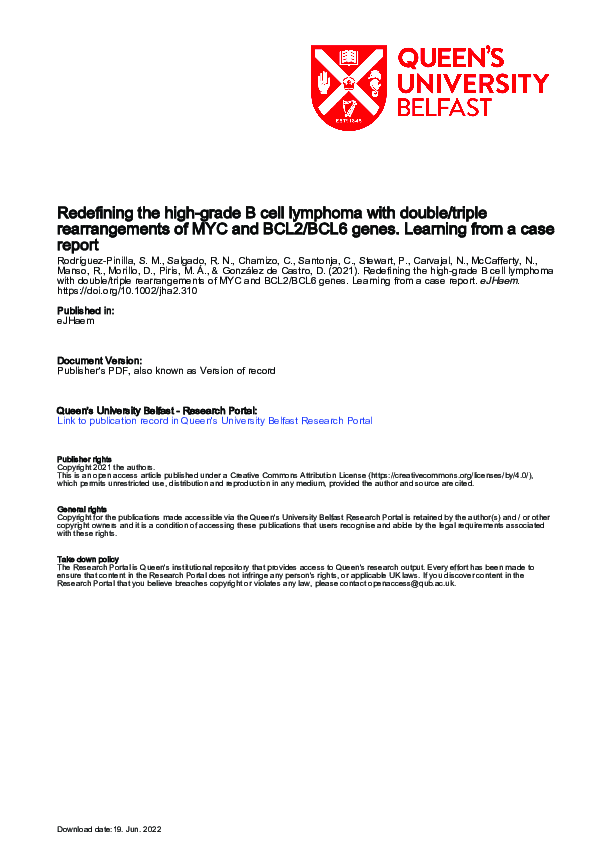 (PDF) Redefining the high‐grade B cell lymphoma with double/triple ...