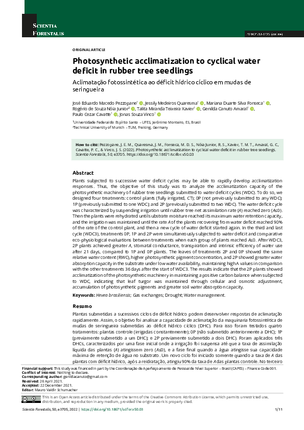 (PDF) Photosynthetic acclimatization to cyclical water deficit in ...