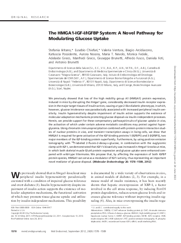 (PDF) The HMGA1-IGF-I/IGFBP System: A Novel Pathway for Modulating ...