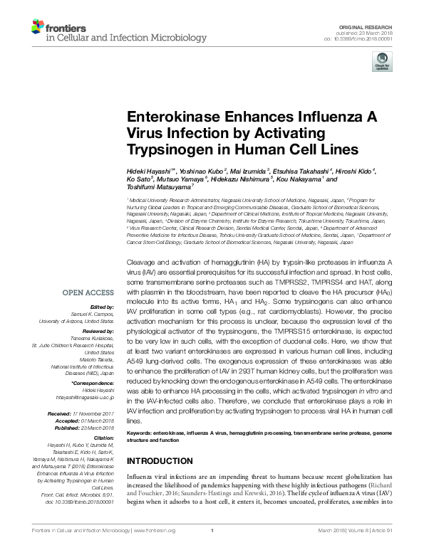 (PDF) Enterokinase Enhances Influenza A Virus Infection by Activating ...