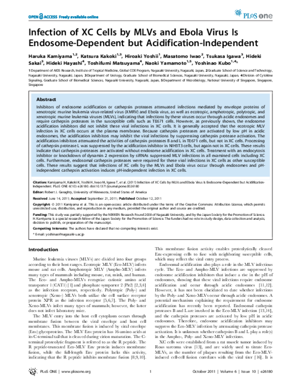 (PDF) Infection of XC Cells by MLVs and Ebola Virus Is Endosome ...