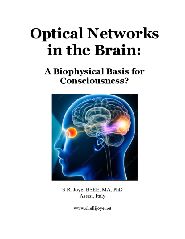 (PDF) Optical Networks in the Brain A Biophysical Basis for Consciousness