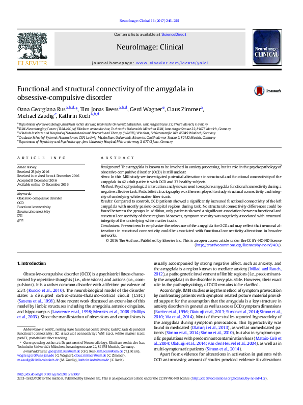 (PDF) Functional and structural connectivity of the amygdala in ...