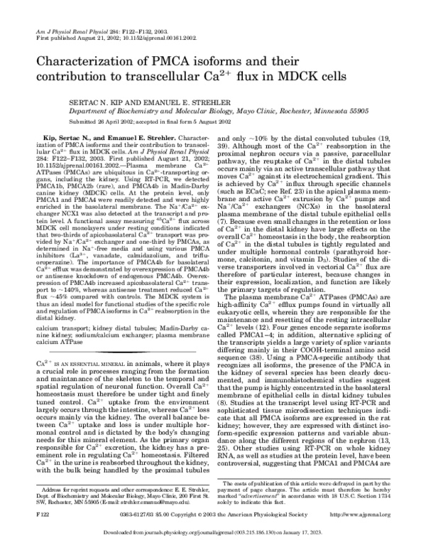 (PDF) Characterization of PMCA isoforms and their contribution to ...