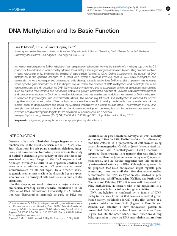 (PDF) DNA Methylation and Its Basic Function