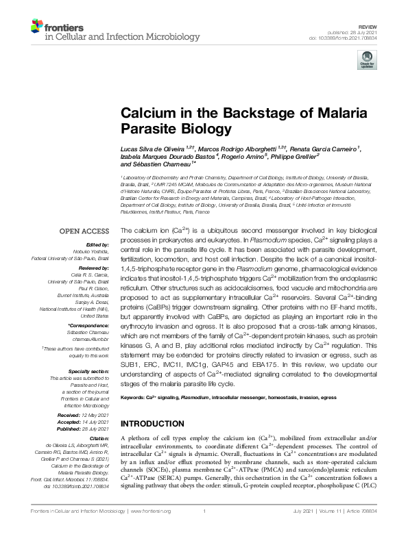 (PDF) Calcium in the Backstage of Malaria Parasite Biology