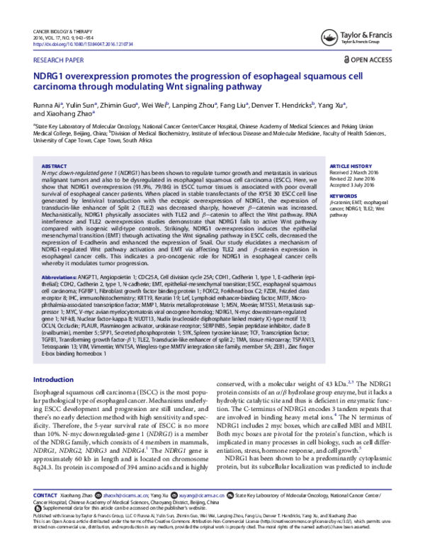 (PDF) NDRG1 overexpression promotes the progression of esophageal ...