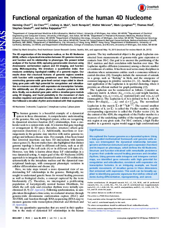 (PDF) Functional organization of the human 4D Nucleome