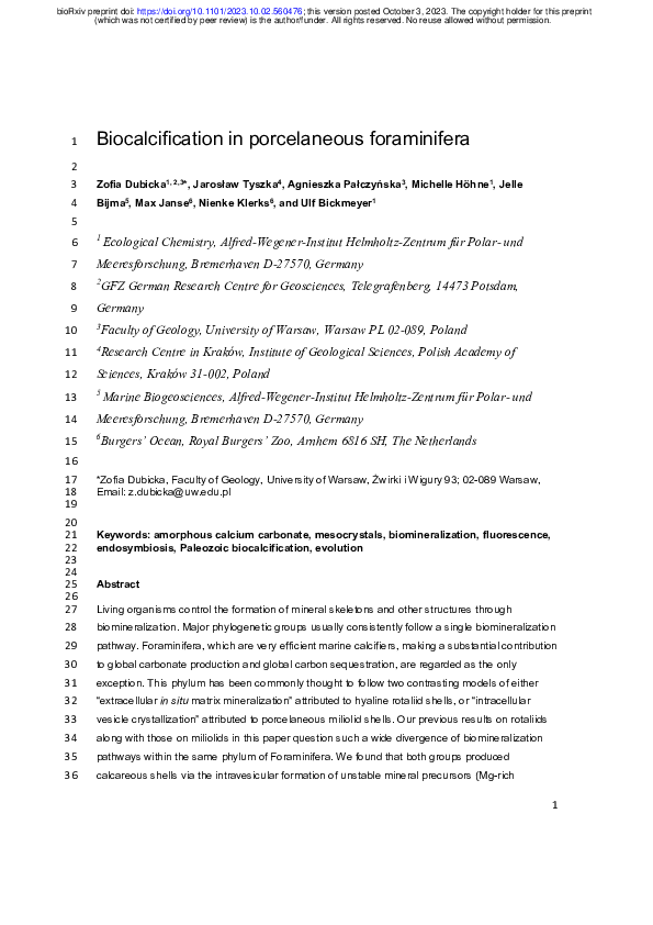 (PDF) Biocalcification in porcelaneous foraminifera