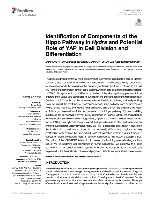 (PDF) Identification of Components of the Hippo Pathway in Hydra and ...