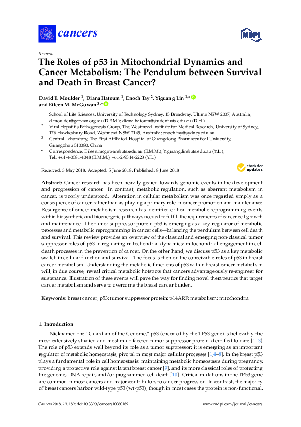 (PDF) The Roles of p53 in Mitochondrial Dynamics and Cancer Metabolism ...