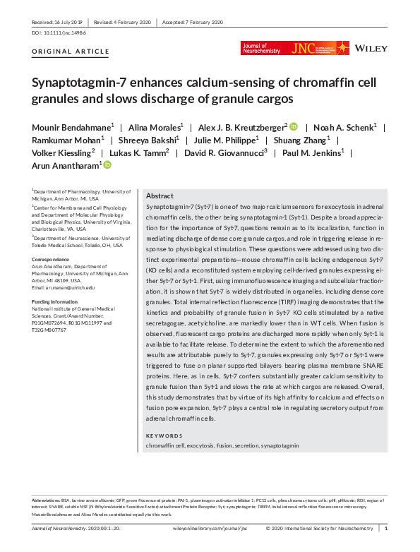 (PDF) Synaptotagmin‐7 enhances calcium‐sensing of chromaffin cell ...