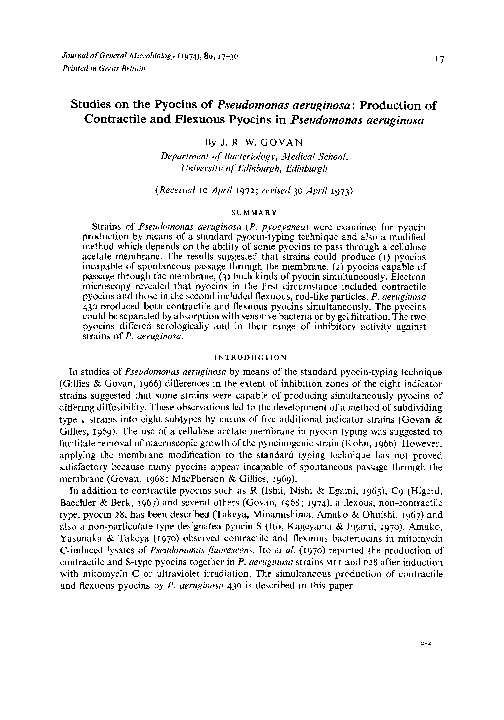 (PDF) Studies on the Pyocins of Pseudomonas aeruginosa: Production of ...