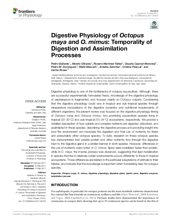 (PDF) Digestive Physiology of Octopus maya and O. mimus: Temporality of ...
