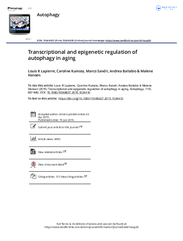 (PDF) Transcriptional and epigenetic regulation of autophagy in aging