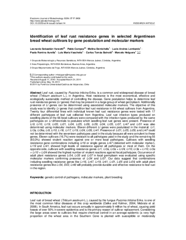 (PDF) Identification of leaf rust resistance genes i n selected ...