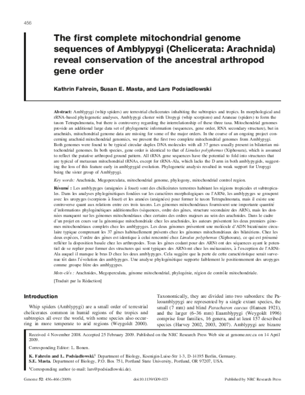 (PDF) The first complete mitochondrial genome sequences of Amblypygi ...