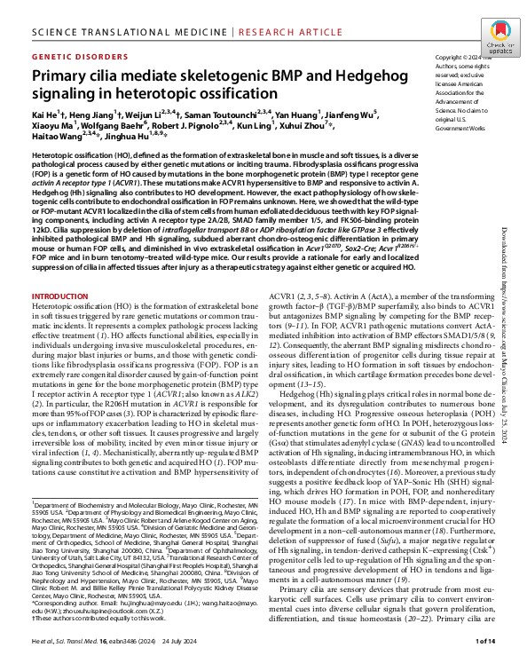 (PDF) Primary cilia mediate skeletogenic BMP and Hedgehog signaling in ...