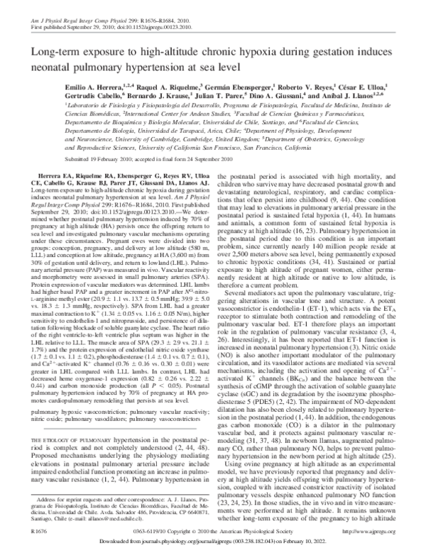 (PDF) Long-term exposure to high-altitude chronic hypoxia during ...