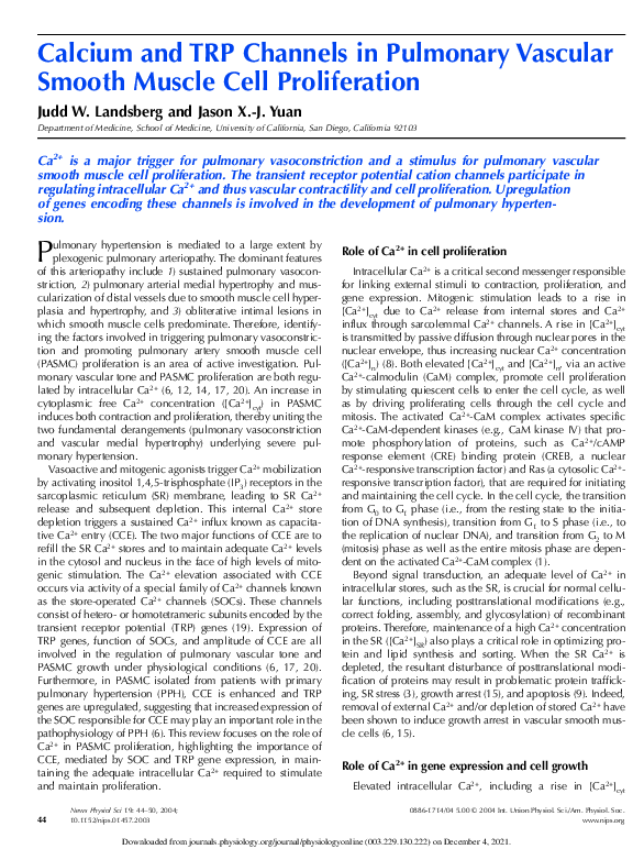 (PDF) Vascular Smooth Muscle Cell Proliferation Calcium and TRP ...