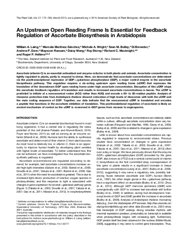 (PDF) An Upstream Open Reading Frame Is Essential for Feedback ...